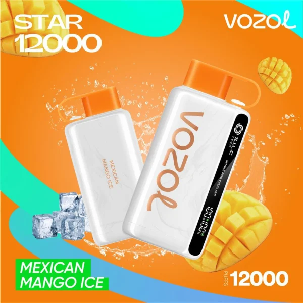 Vozol Star 12000 Puffs Disposable Vape